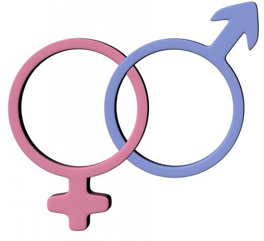 Male Female Symbol